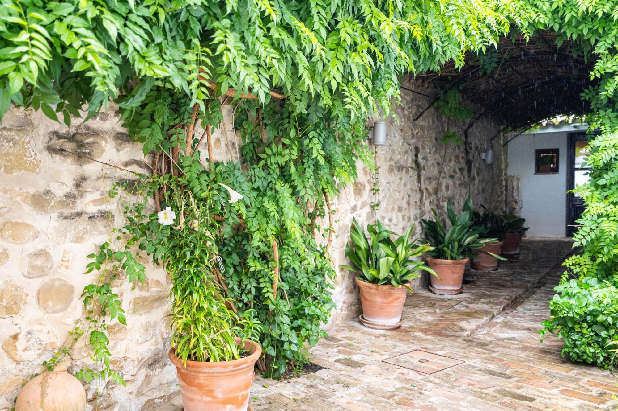 Yit La Casona Del Arco Hotel Baeza Buitenkant foto